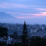 Dadar Beredar: Destinasi Kue Dadar di Bandung yang Menggoda Selera
